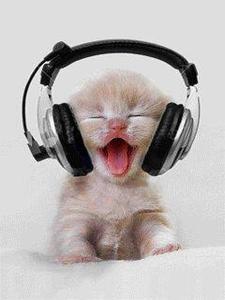 Funny headphones photo